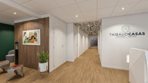 Cyril BRIFAULT - CYRIL BRIFAULT - ARCHITECTURE D'INTERIEUR